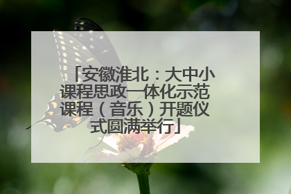 安徽淮北：大中小课程思政一体化示范课程（音乐）开题仪式圆满举行