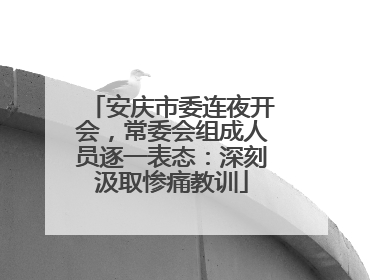 安庆市委连夜开会，常委会组成人员逐一表态：深刻汲取惨痛教训