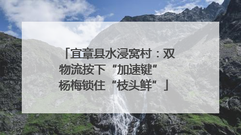 宜章县水浸窝村：双物流按下“加速键” 杨梅锁住“枝头鲜”