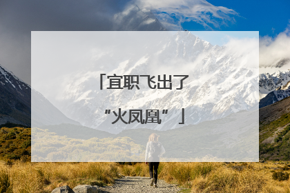 宜职飞出了“火凤凰”