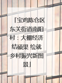 宝鸡陈仓区东关街道南阳村：大棚经济结硕果 绘就乡村振兴新图景
