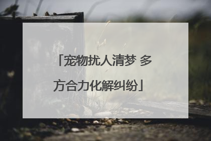 宠物扰人清梦 多方合力化解纠纷
