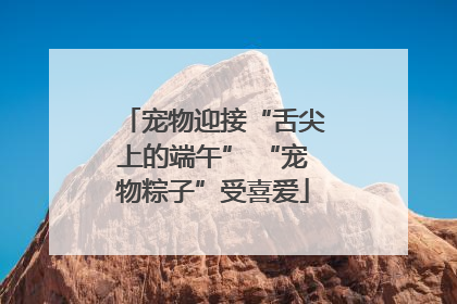 宠物迎接“舌尖上的端午” “宠物粽子”受喜爱