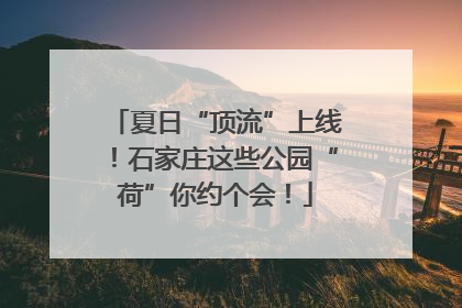 夏日“顶流”上线！石家庄这些公园“荷”你约个会！