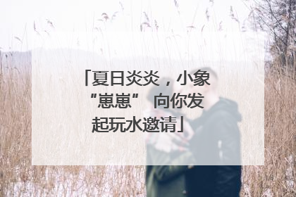 夏日炎炎，小象“崽崽” 向你发起玩水邀请