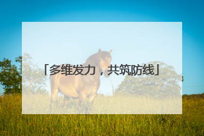 多维发力，共筑防线