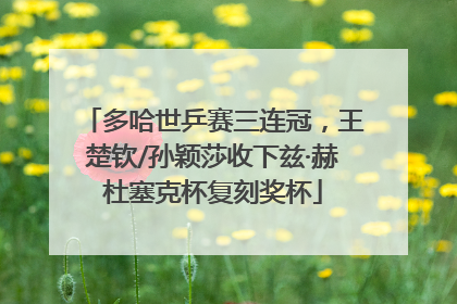 多哈世乒赛三连冠，王楚钦/孙颖莎收下兹·赫杜塞克杯复刻奖杯