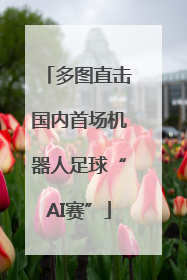多图直击国内首场机器人足球“AI赛”