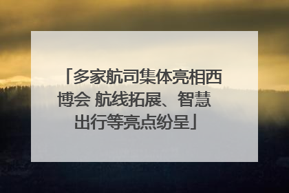 多家航司集体亮相西博会 航线拓展、智慧出行等亮点纷呈