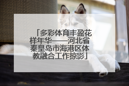 多彩体育丰盈花样年华——河北省秦皇岛市海港区体教融合工作掠影
