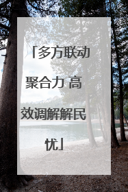 多方联动聚合力 高效调解解民忧