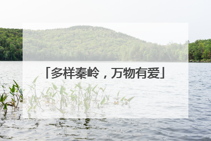 多样秦岭，万物有爱