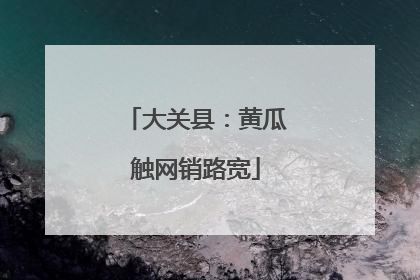大关县：黄瓜触网销路宽
