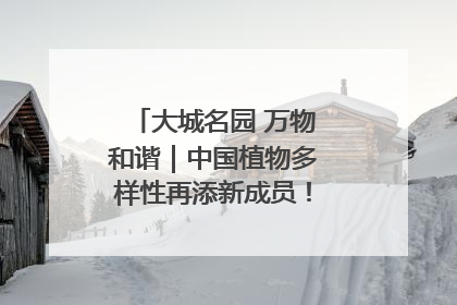 大城名园 万物和谐｜中国植物多样性再添新成员！它只在西藏墨脱