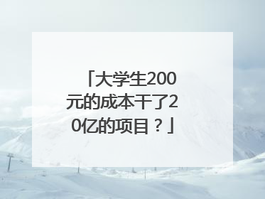 大学生200元的成本干了20亿的项目？