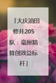 大庆油田修井205队：毫厘精算创效益标杆