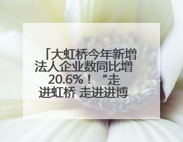 大虹桥今年新增法人企业数同比增20.6%！“走进虹桥 走进进博”活动举办