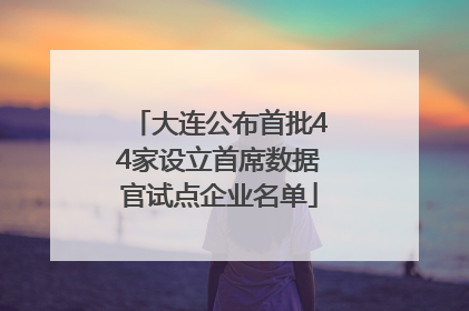 大连公布首批44家设立首席数据官试点企业名单