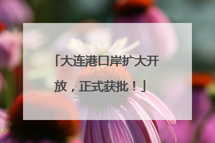 大连港口岸扩大开放，正式获批！