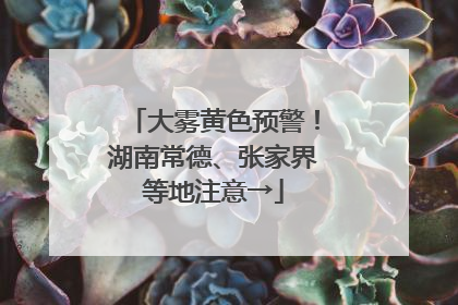 大雾黄色预警！湖南常德、张家界等地注意→