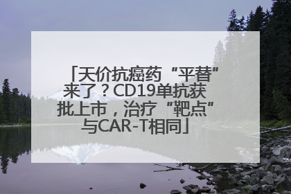 天价抗癌药“平替”来了？CD19单抗获批上市，治疗“靶点”与CAR-T相同