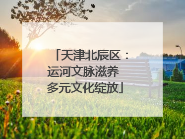 天津北辰区：运河文脉滋养 多元文化绽放
