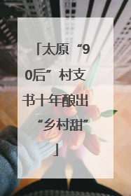 太原“90后”村支书十年酿出“乡村甜”