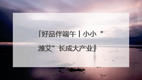 好品伴端午丨小小“潍艾”长成大产业