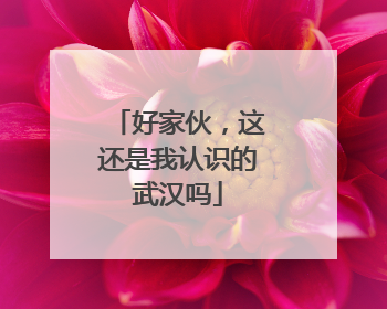 好家伙，这还是我认识的武汉吗
