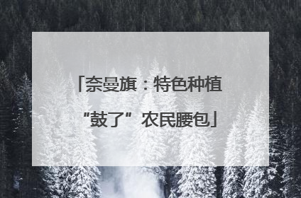奈曼旗：特色种植“鼓了”农民腰包