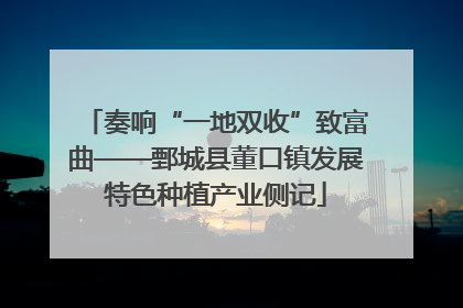 奏响“一地双收”致富曲——鄄城县董口镇发展特色种植产业侧记