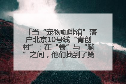 当“宠物咖啡馆”落户北京10号线“青创村”：在“卷”与“躺”之间，他们找到了第三种生活公式