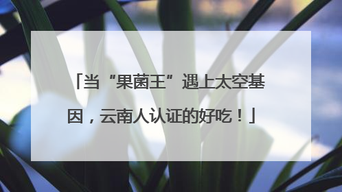 当“果菌王”遇上太空基因，云南人认证的好吃！
