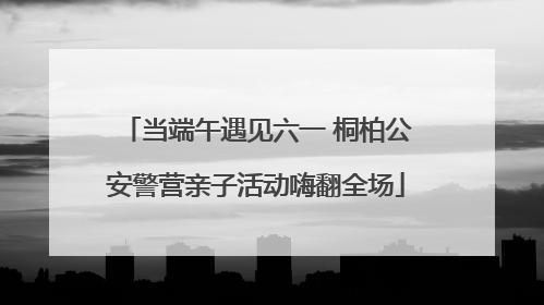当端午遇见六一 桐柏公安警营亲子活动嗨翻全场