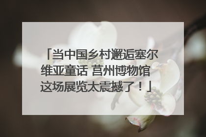 当中国乡村邂逅塞尔维亚童话 莒州博物馆这场展览太震撼了！