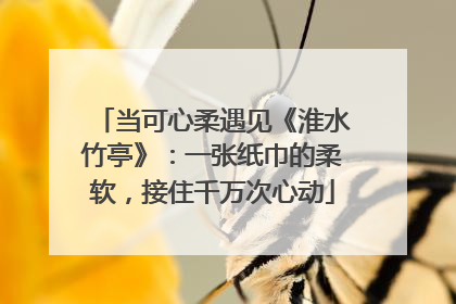 当可心柔遇见《淮水竹亭》：一张纸巾的柔软，接住千万次心动