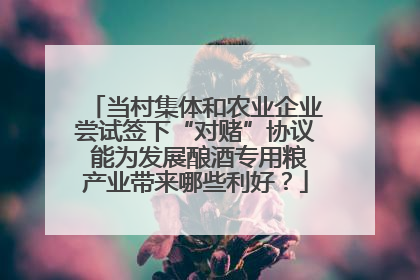当村集体和农业企业尝试签下“对赌”协议 能为发展酿酒专用粮产业带来哪些利好？