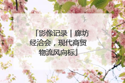 影像记录｜廊坊经洽会，现代商贸物流风向标