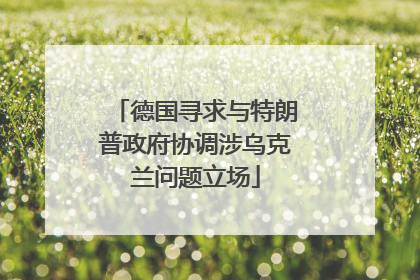 德国寻求与特朗普政府协调涉乌克兰问题立场