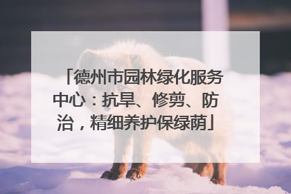 德州市园林绿化服务中心：抗旱、修剪、防治，精细养护保绿荫