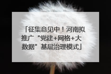 征集意见中！河南拟推广“党建+网格+大数据”基层治理模式