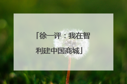 徐一评：我在智利建中国商城