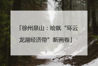 徐州泉山：绘就“环云龙湖经济带”新画卷