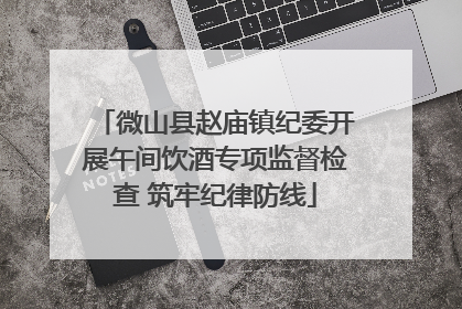 微山县赵庙镇纪委开展午间饮酒专项监督检查 筑牢纪律防线