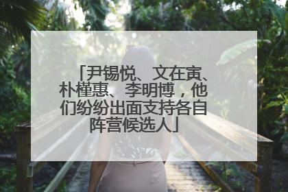 尹锡悦、文在寅、朴槿惠、李明博，他们纷纷出面支持各自阵营候选人