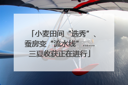 小麦田间“选秀”、蚕房变“流水线”……三夏收获正在进行
