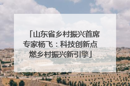 山东省乡村振兴首席专家杨飞：科技创新点燃乡村振兴新引擎