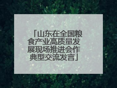 山东在全国粮食产业高质量发展现场推进会作典型交流发言