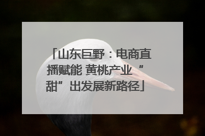 山东巨野：电商直播赋能 黄桃产业“甜”出发展新路径