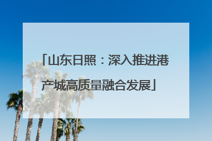 山东日照：深入推进港产城高质量融合发展